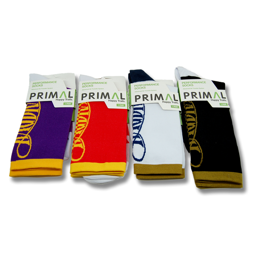 RAGBRAI Classic RAGBRAI Socks